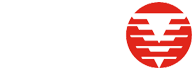 DSM Demolition Logo